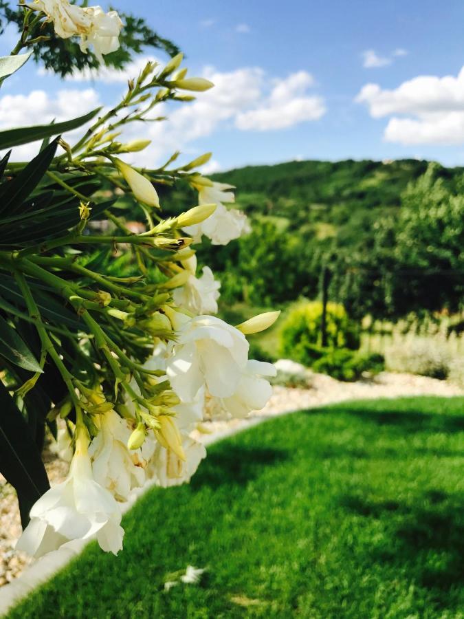 Vass-Villa Vendeghaz Szekszárd Exteriör bild