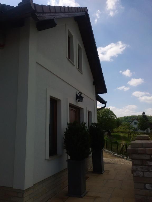 Vass-Villa Vendeghaz Szekszárd Exteriör bild