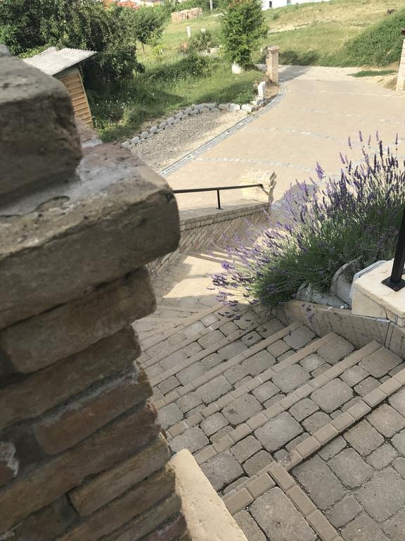 Vass-Villa Vendeghaz Szekszárd Exteriör bild